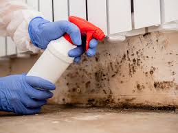 Best Industrial Mold Remediation  in Parkland, FL